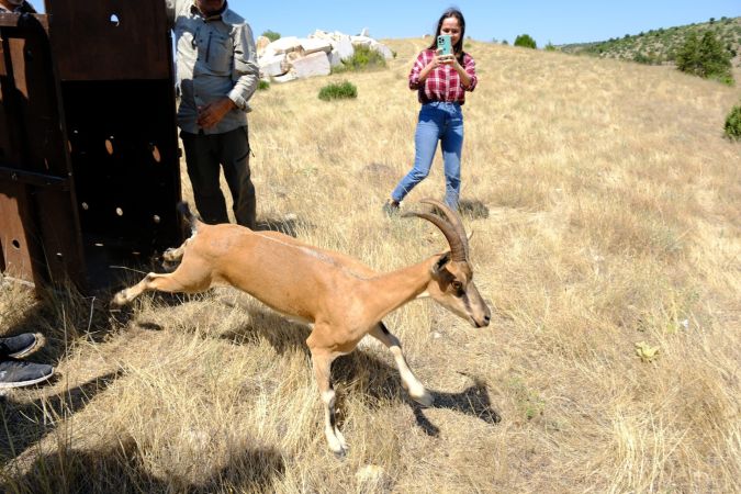 Yozgat'ın Doğal Güzelliği Turizme Kazandırılıyor