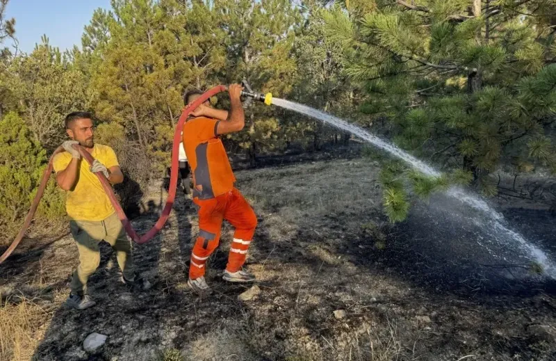 Yozgat’ta Korkunç Yangın: 30 Hektar Alan Kül Oldu, 5 Saat Boyunca Sürdü!
