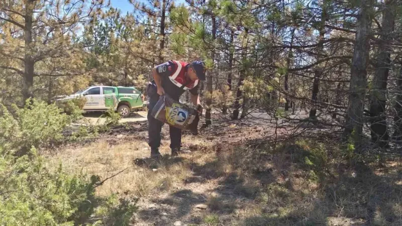 Yozgat'ta Orman Yangını Sonrası Yaban Hayvanları Unutulmadı
