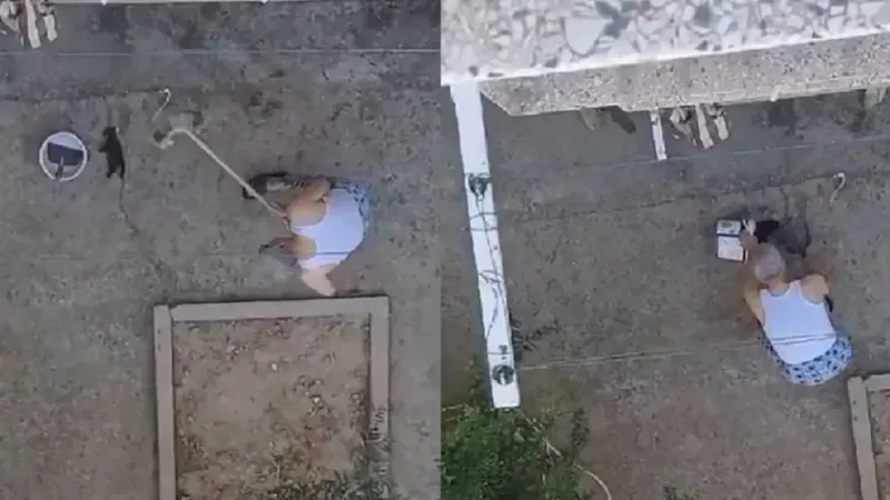 Yavru kedileri sopayla öldüren Muzaffer Şen kimdir tutuklandı mı?