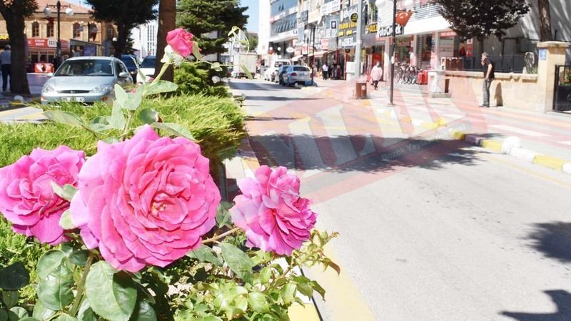 Yozgat’ta Renkli Çiçekler ve Huzur Dolu Caddeler!