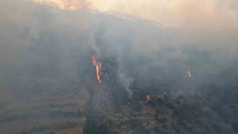 Çıkan Orman Yangını Yerleşim Yerlerini Tehdit Etmeye Başladı