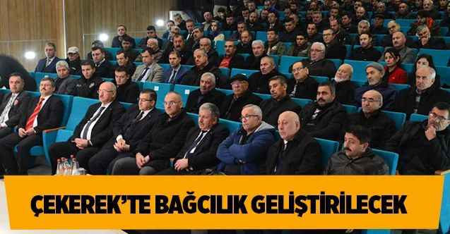 Çekerek’te Bağcılık Geliştirilecek