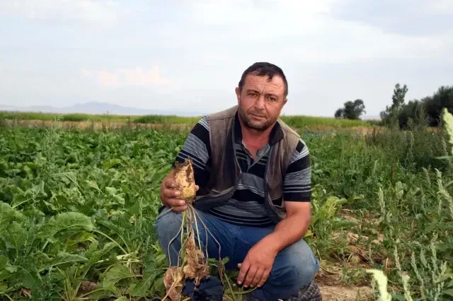 Yozgatlı Çiftçileri İlgilendirir! Tüfeklerini Kapıp Tarla Nöbetine Başladılar