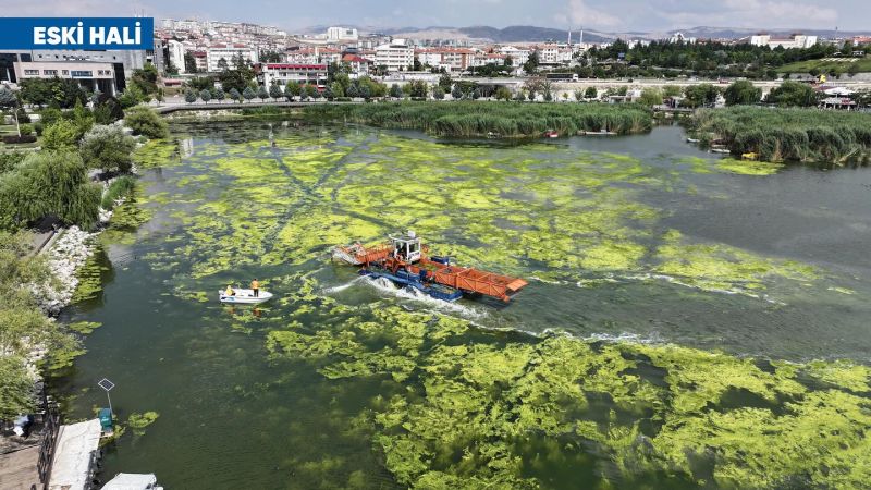 Mogan Gölü Eski İhtişamına Yeniden Kavuştu