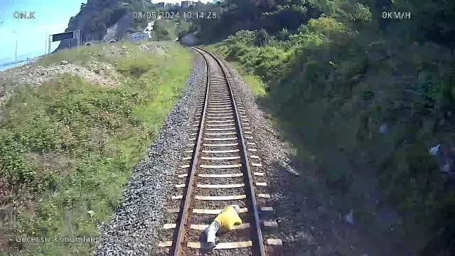 Korkunç Tren Kazasında Kan Donduran Anlar: 89 Yaşındaki Kadın Raylarda Nasıl Hayatını Kaybetti?