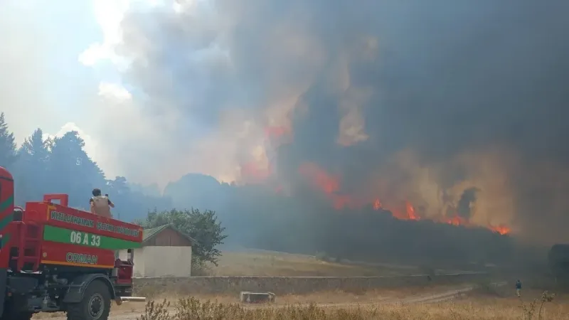 Türkiye'nin Ciğerleri Alev Alev Yanıyor Ankara'da Başlayan Yangın Bolu'ya Sıçradı