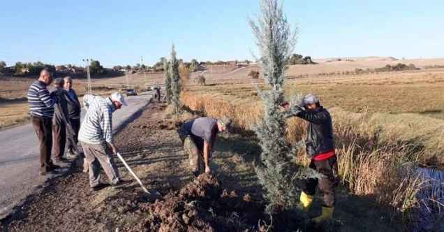 Köy halkı kendi imkanlarıyla 300 fidan dikti