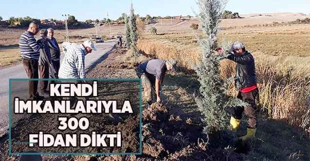 Köy halkı kendi imkanlarıyla 300 fidan dikti