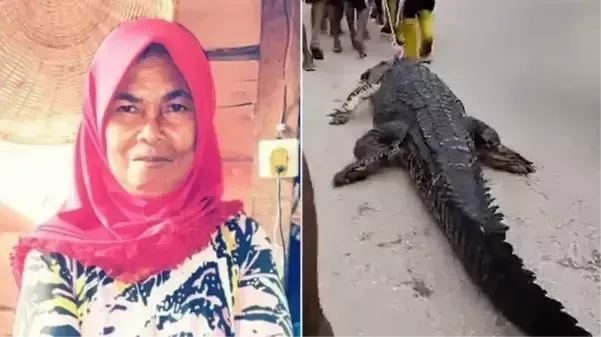 Dev timsah, nehir kenarında bulaşık yıkayan yaşlı kadını yedi