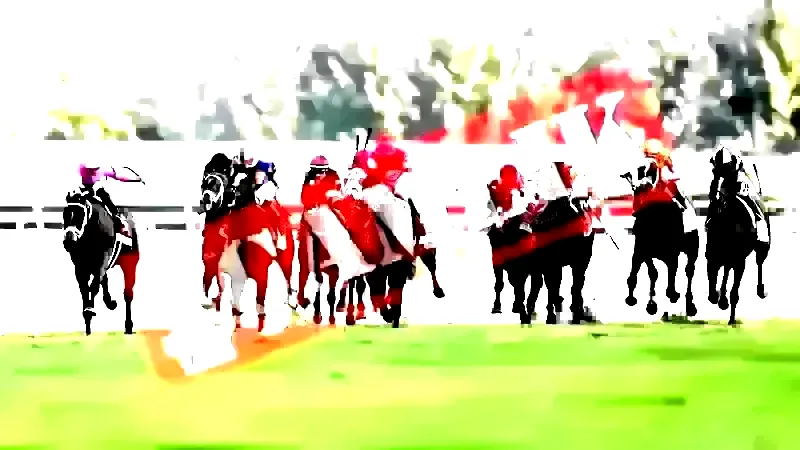 23 Ağustos 2024 At yarışı sonuçları İstanbul, Bursa at yarışı sonuçları...