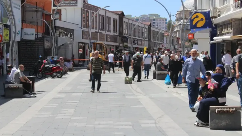 Yozgat’ta Virüs Alarmı: Batı Nil Virüsü Korku Salıyor!