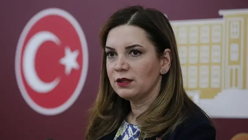 Arzu Erdem Kimdir, MHP'den Neden istifa etti?