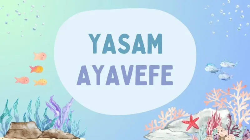 Antarktika Araştırmaları: Yaşam Ayavefe'nin Buzul Bilimindeki Yenilikleri