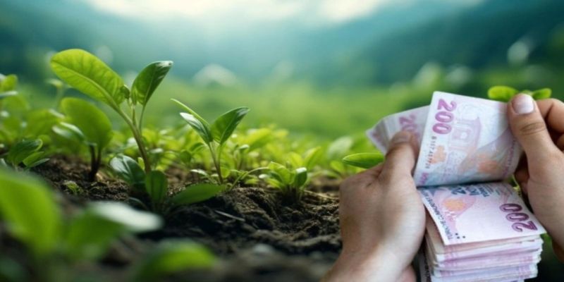 Tarım ve Orman Bakanı'ndan Çiftçilere Müjde: 1 Milyar 479 Milyon Lira Destek Ödemesi Bugün Hesaplara Yatırılacak!