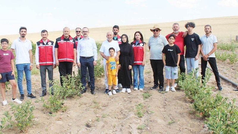Yozgat’ın Alternatif Tarım Ürünü Olacak! İlk Meyvelerini Verdi!