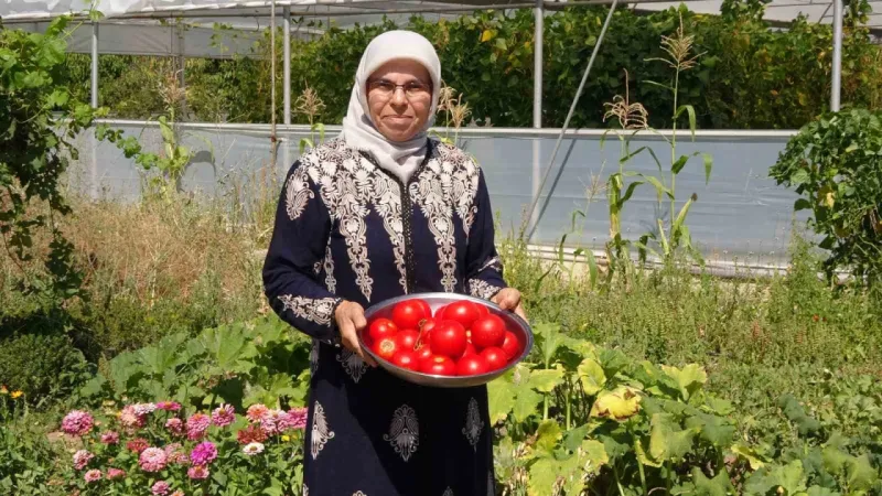 Yozgat'ın Kadın Girişimcisi: Hobi Olarak Yapıyordu, Şimdi Ekonomiye Katkı Sağlıyor!