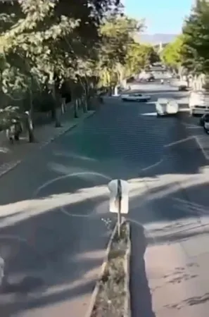Yozgat'ın komşu şehrinde genç sürücünün son anları yürek yaktı