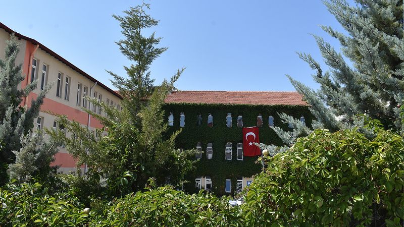 Yozgat'ta sarmaşıkların sardığı kamu kurumu gözden kayboldu! Yok böyle bir güzellik!