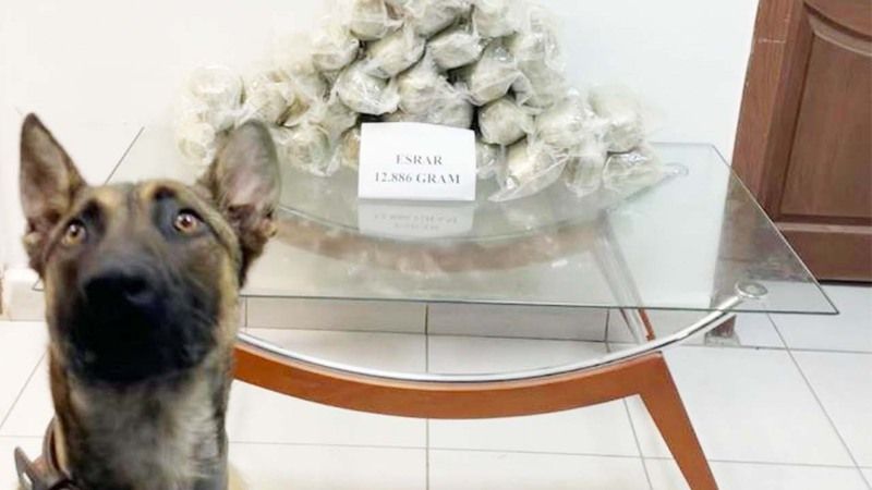 Yozgat’ta Polis Ekipleri Durdurdu, Narkotik Köpeği Buldu Yakıt Deposunda Tam 12 Kilo Esrar…