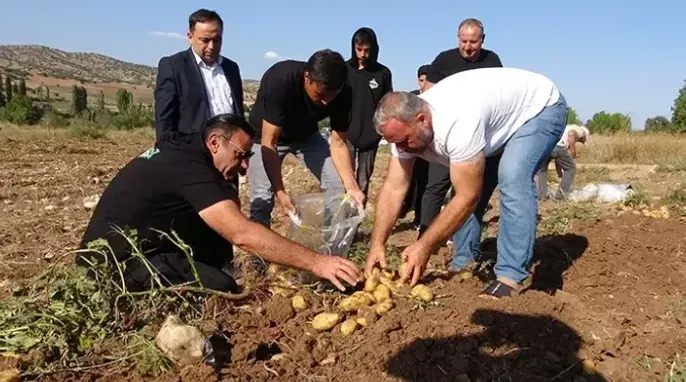 Yozgat’ın Patates Hasadında Verim Yüksek Ama Fiyatlar Düşüşte!