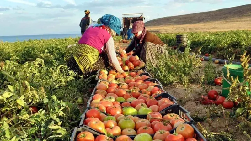Yozgatlı Çiftçilere Tarımda Yeni Dönem Fırsatları Sunuluyor!