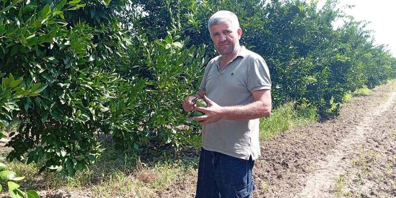 Yozgat’ta Mandalina Fiyatlarında Dengesizlik! Marketler 5 Katı Fiyatla Satıyor!