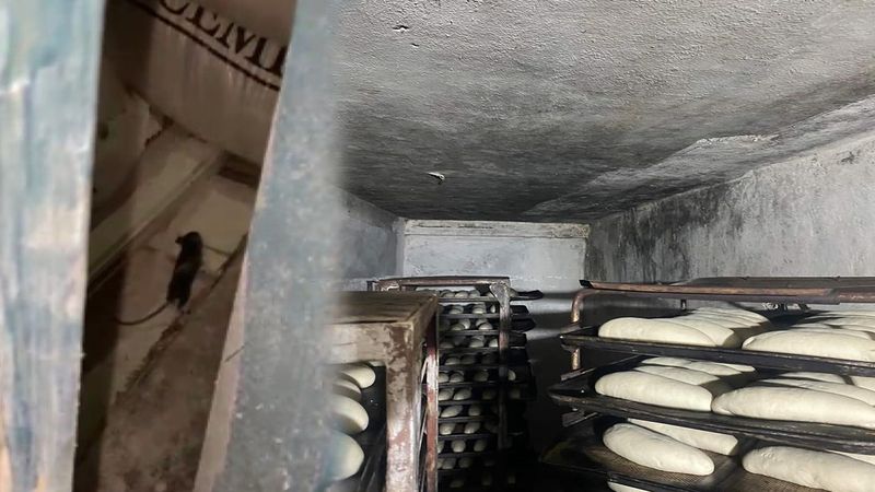 Komşu Mide Bulandırdı Yozgat'ta Durumlar Nasıl?