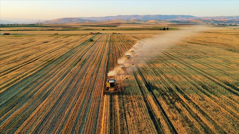 Yozgat Sorgun’da Kuru Tarım Arazisi Mahkemeden Satışa Çıkarıldı