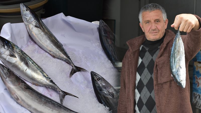 Karadeniz'den Çıktı Yozgat'a Geliyor Sezonu Başladı!