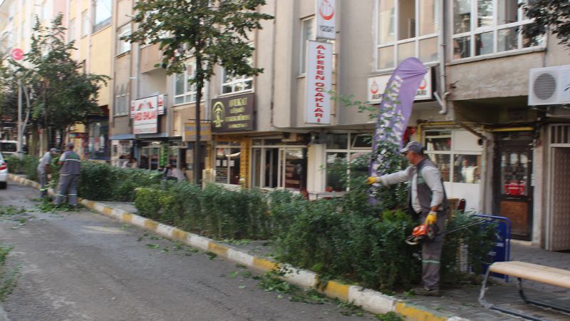 Yozgat Belediyesi'nden Kış Hazırlığı: Ağaç ve Çiçeklere Özel Bakım