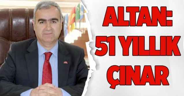 51 Yıllık Çınar