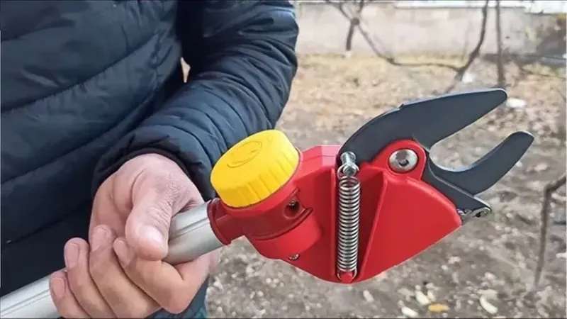Yozgat Bahçelerinde Kasım Ayı Gelmeden Budamanız Gereken 5 Bitki!