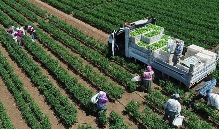 Yozgat’ta Bitkisel Üretim Destekleri İçin Yeni Düzenleme
