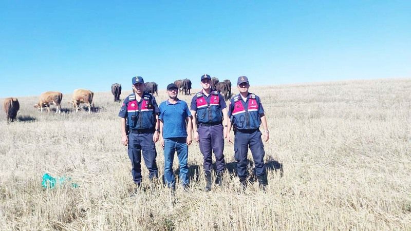 Yozgat’ta Kayıp Hayvanlar Sahibine Teslim Edildi!