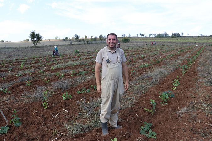 Yozgat’ta Tarımda Dönüşüm: Arpa ve Buğday Yerine Katma Değerli Ürünler