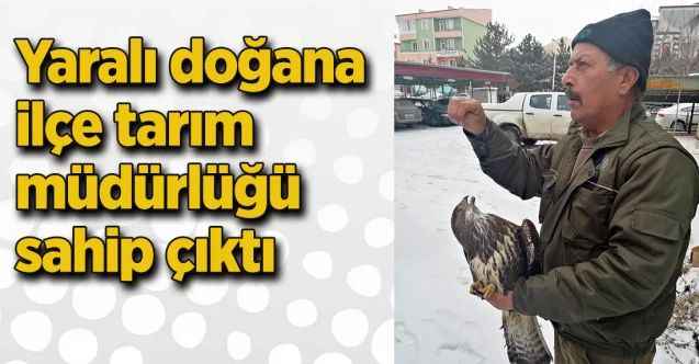 Yaralı doğana ilçe tarım müdürlüğü sahip çıktı