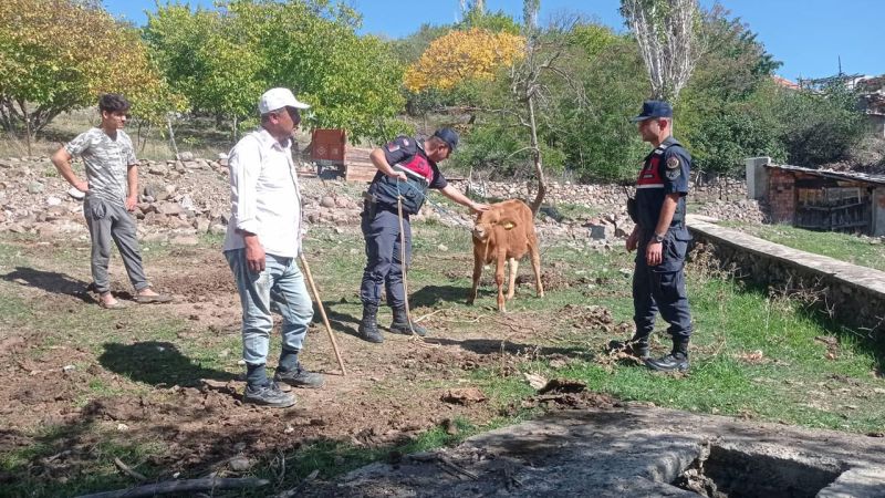 Yozgat Jandarması kaybolan hayvanı buldu