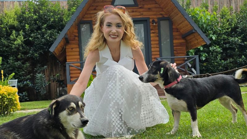 Sokak Köpekleri, Terapi Köpeği Oluyor: Hastalara Umut Işığı