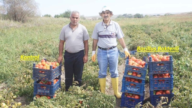Yozgat’ta Çiftçiler Kazanıyor! Daha Az Masraf Daha Fazla Verim!