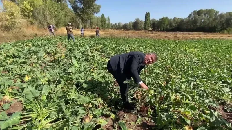Yozgat’ta Beklenen Hasat Gecikti: Çiftçiler Umutlarını Kaybediyor