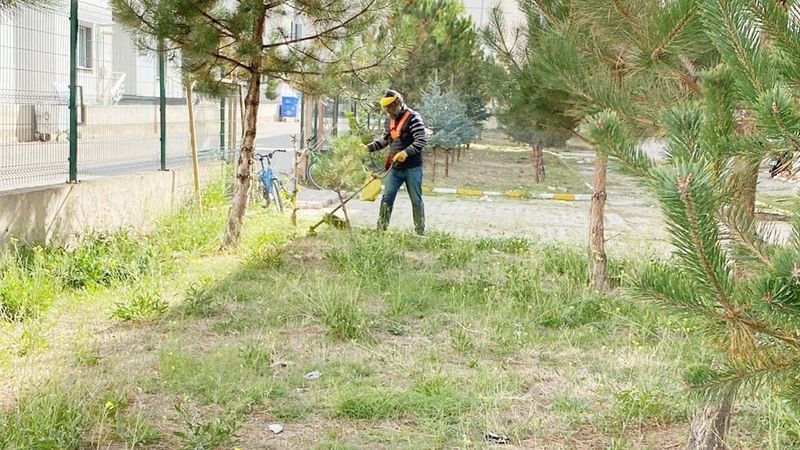 Boğazlıyan’da Yeşil Alanlar Artıyor!
