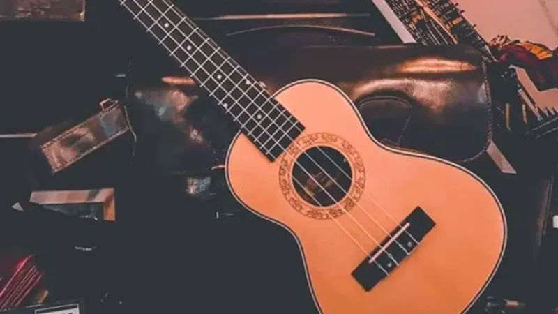 Ukulele hangi ülkenin?