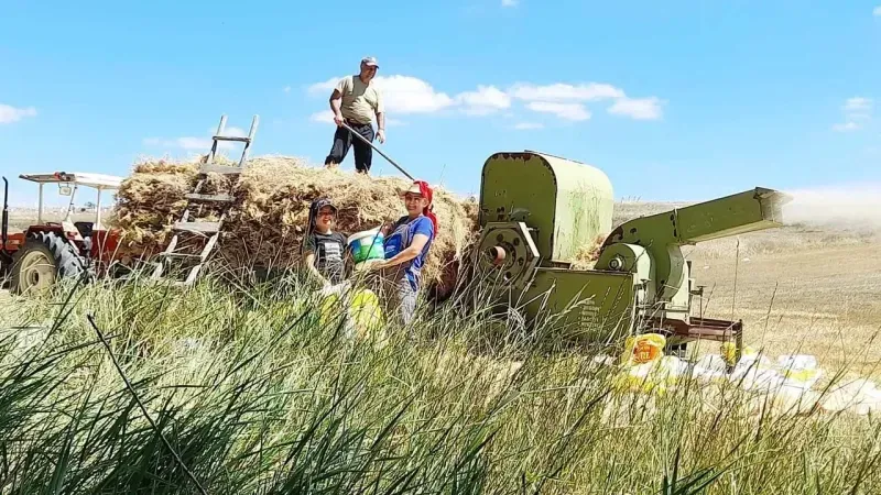 Yozgat’ta Tarımın Geleceği: Hangi Ürünler Daha Verimli Yetiştirilebilir?