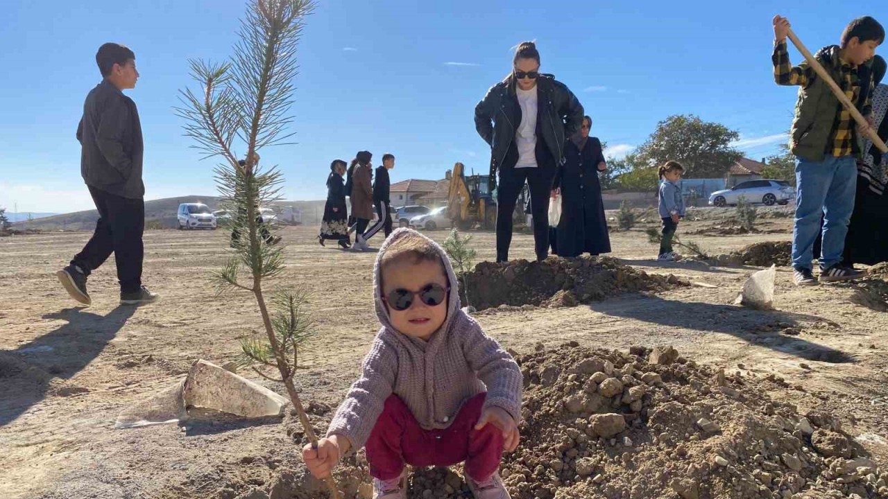 Yozgat’ta bozkır ağaçlandırıldı