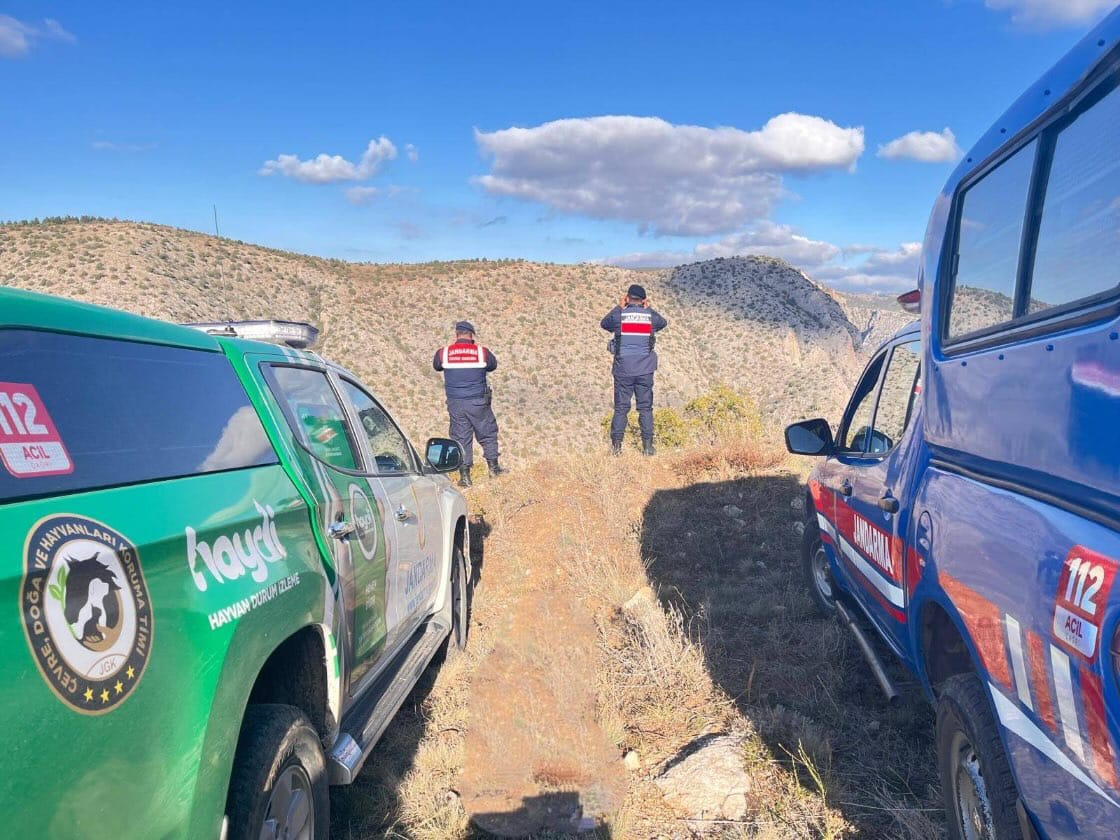 Yozgat Jandarma’dan Kazankaya Kanyonu'nda Yaban Hayatı Denetimi
