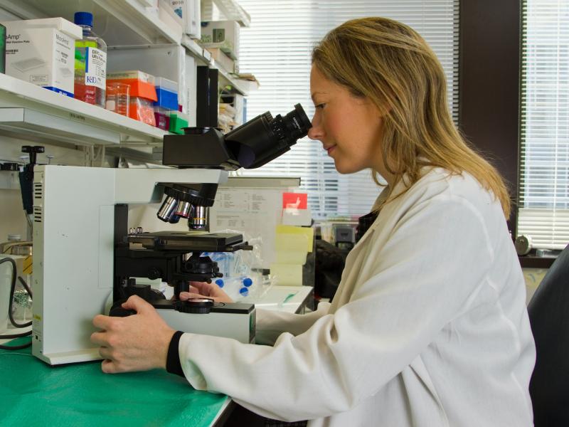 Yozgat'tan DNA alındı Türkler kime benziyor?