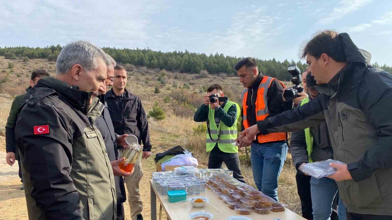 Yozgat Çamlık Bal Ormanı’nda fidanlar toprakla buluştu