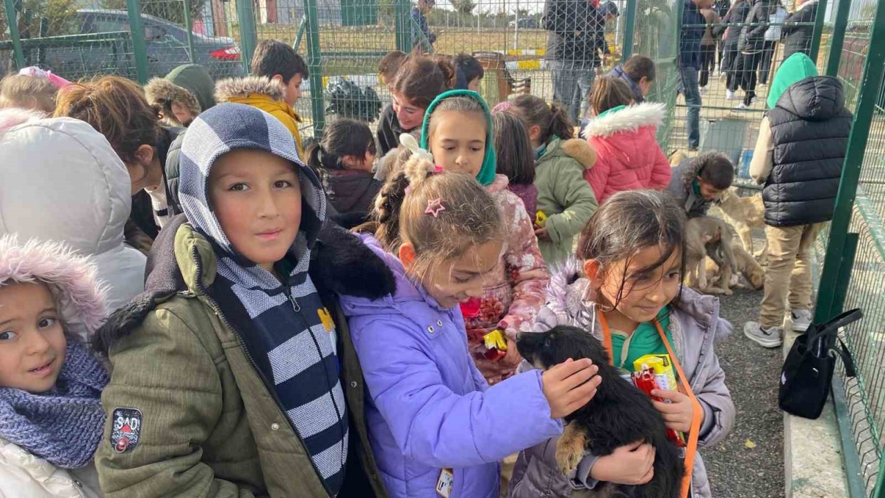Yozgat’taki Evcil Köy’de çocuklar ve gençler, patili dostlarla buluştu