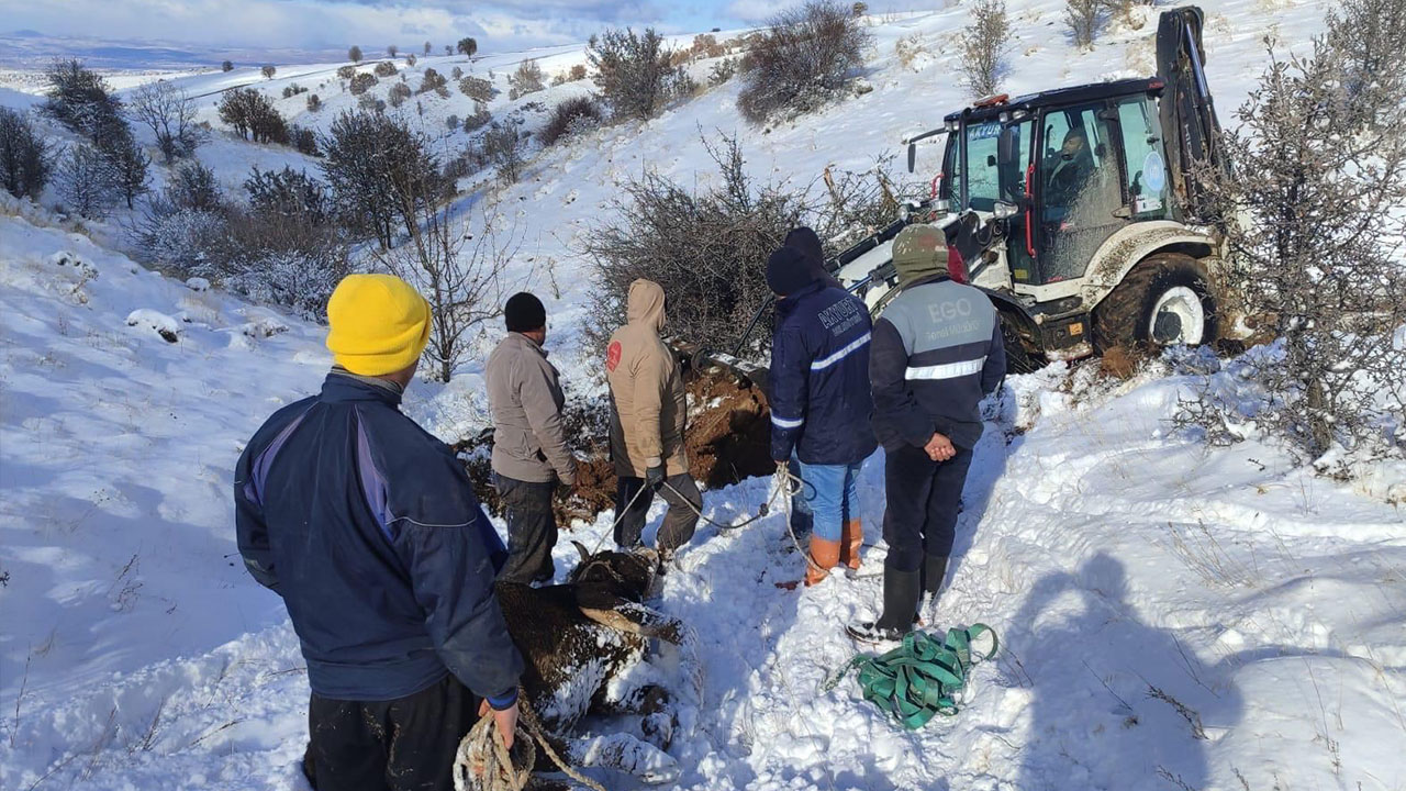 Akyurt Belediyesi Mahsur kalan hayvanlar için seferber oldu